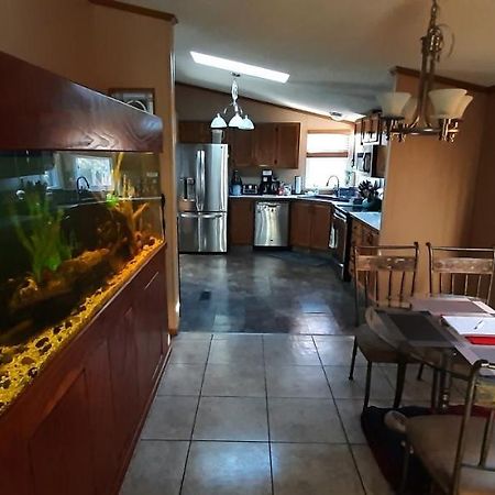 Private Pet Friendly Home Near Exotic Deer Farm Close To Pigeon Forge, Gatlinburg Tn Sevierville Luaran gambar