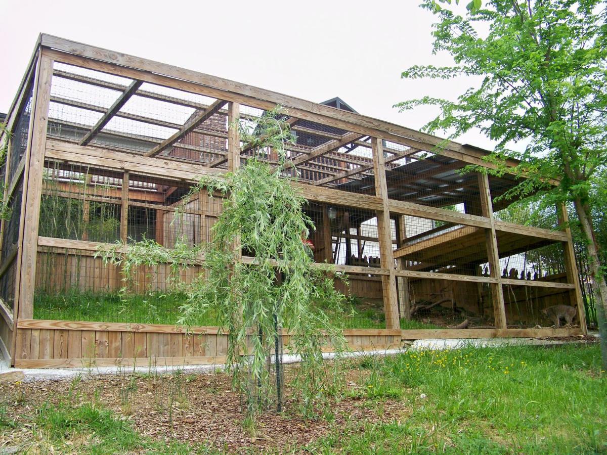 Private Pet Friendly Home Near Exotic Deer Farm Close To Pigeon Forge, Gatlinburg Tn Sevierville Luaran gambar