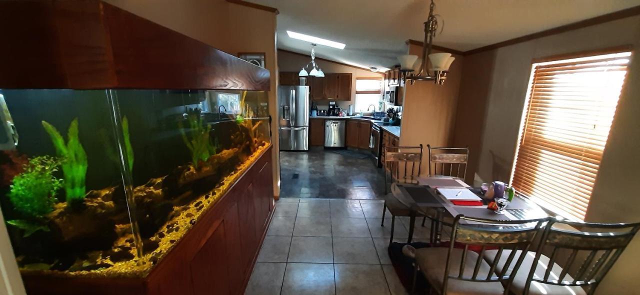 Private Pet Friendly Home Near Exotic Deer Farm Close To Pigeon Forge, Gatlinburg Tn Sevierville Luaran gambar
